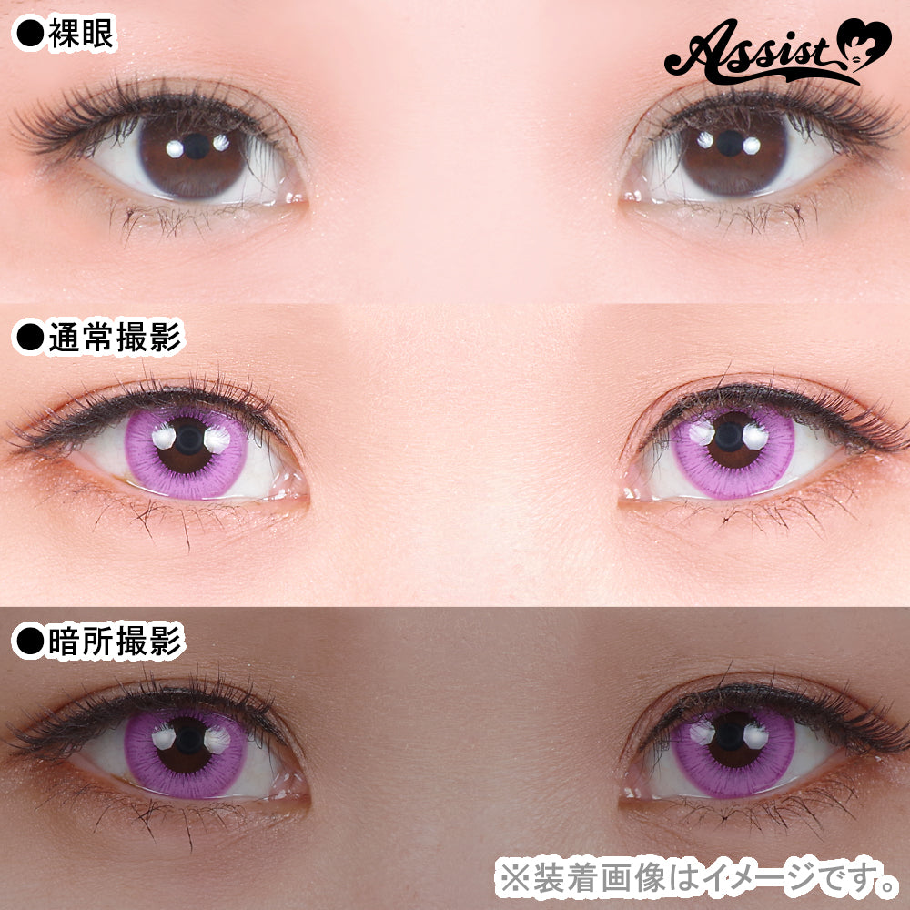 Assist Shutella 1Day 日拋COSPLAY隱形眼鏡 (1盒6片) Wisteria Purple