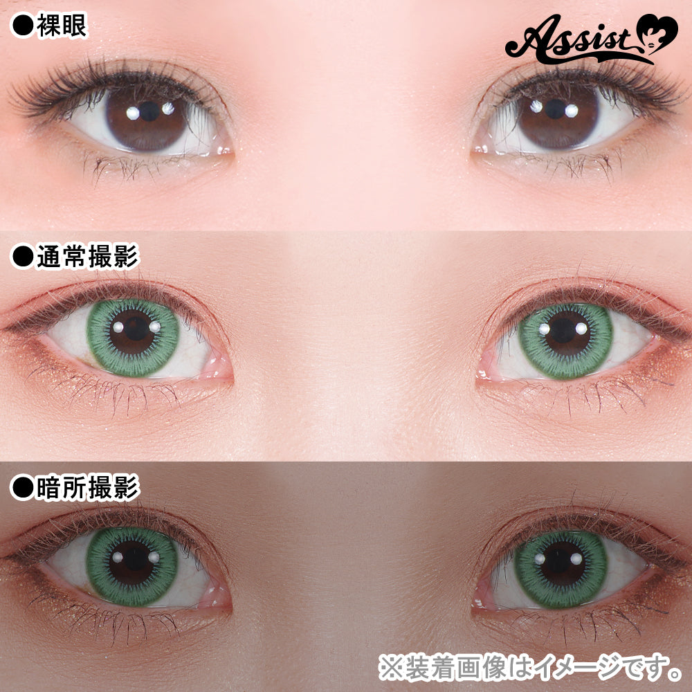Assist Shutella 1Day 日拋COSPLAY隱形眼鏡 (1盒6片) Go Clover