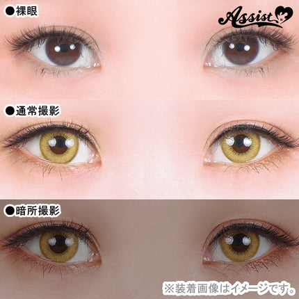 Assist Shutella 1Day 日拋COSPLAY隱形眼鏡 (1盒6片)  God Yellow