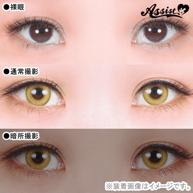 Assist Shutella 1Day Disposable Colored Contact Lenses (6 lenses per box) - God Yellow
