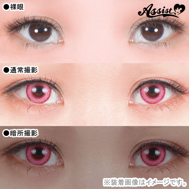 Assist Shutella 1Day Disposable Cosplay Contact Lenses (6 lenses per box) Pink Wave