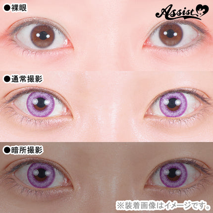 Assist Shutella 1Day 日拋COSPLAY隱形眼鏡 (1盒6片)  Bright Purple