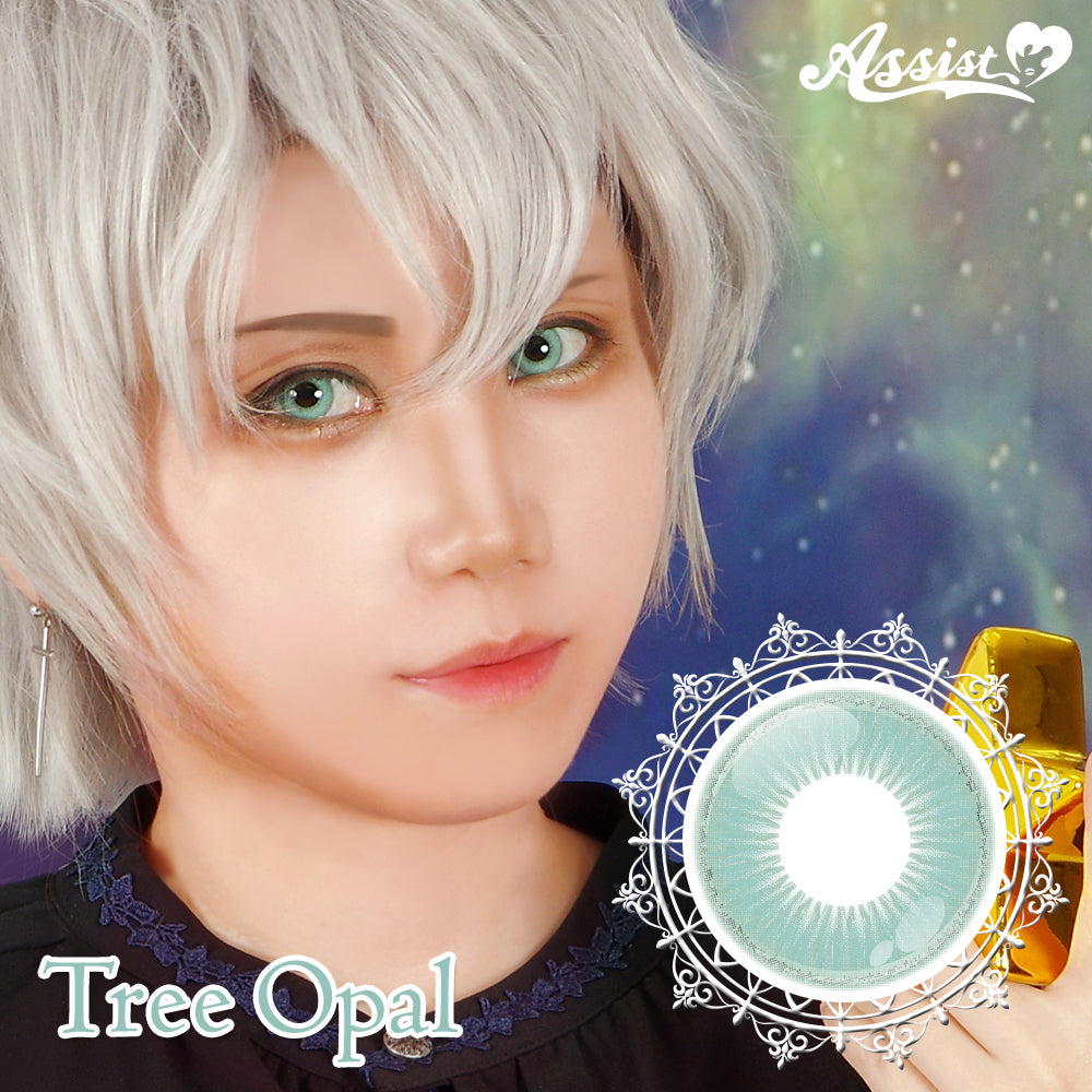 Assist Shutella 1Day 日拋COSPLAY隱形眼鏡 (1盒6片)  Tree Opal