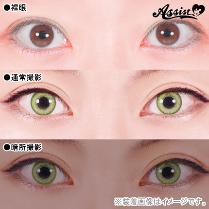 Assist Shutella 1Day 日拋COSPLAY隱形眼鏡 (1盒6片)  Green Misa