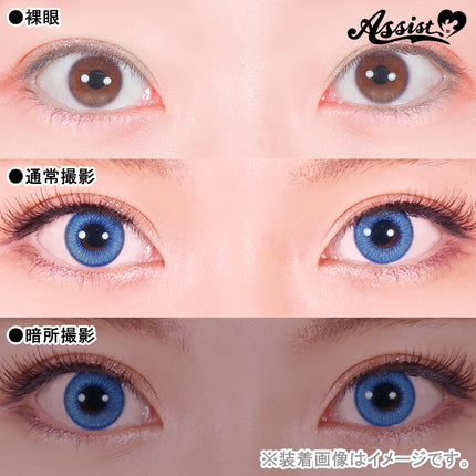 Assist Shutella 1Day 日拋COSPLAY隱形眼鏡 (1盒6片)  Bellflower Moist