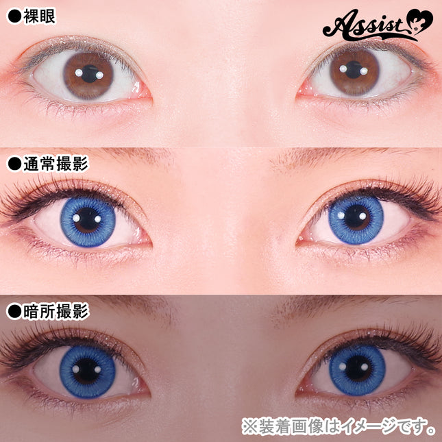 Assist Shutella 1Day Disposable Colored Contact Lenses (6 lenses per box) Bellflower Moist