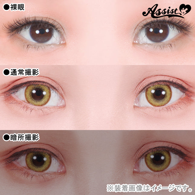 Assist Shutella 1-Day Disposable Cosplay Contact Lenses (6 Lenses per box) Lily Yellow