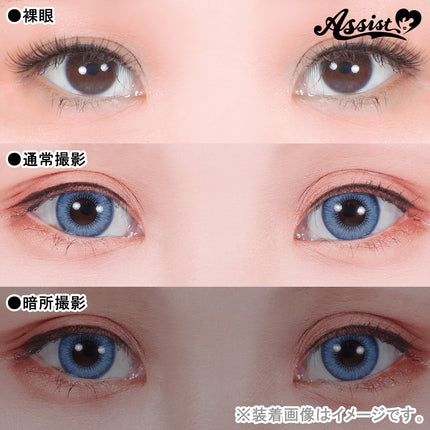 Assist Shutella 1Day 日拋COSPLAY隱形眼鏡 (1盒6片)  Blue Lapel