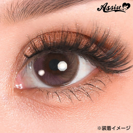 假眼睫毛專用膠紙 日本Assist Cosplay用品