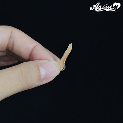 眉消職人遮眉膏 日本Assist Cosplay用品