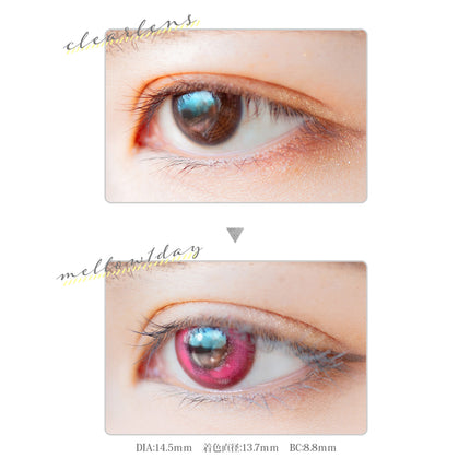 Etia Mellow Flora 1Day 14.5mm 日本Cosplay隱形眼鏡 (10片裝)