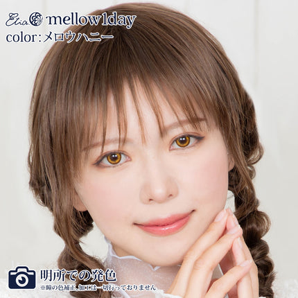 Etia Mellow Honey 1Day 14.5mm 日本Cosplay隱形眼鏡 (10片裝)