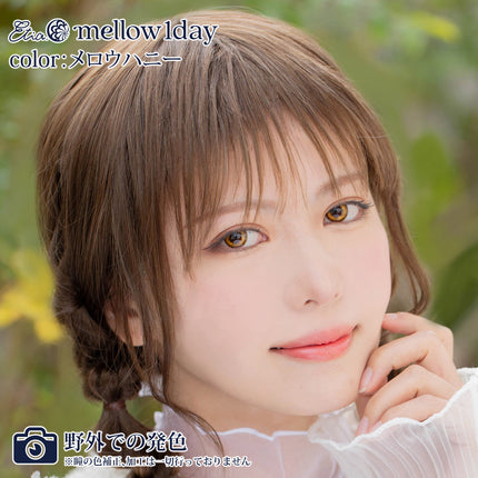 Etia Mellow Honey 1Day 14.5mm 日本Cosplay隱形眼鏡 (10片裝)