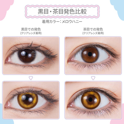 Etia Mellow Honey 1Day 14.5mm 日本Cosplay隱形眼鏡 (10片裝)