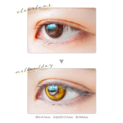 Etia Mellow Honey 1Day 14.5mm 日本Cosplay隱形眼鏡 (10片裝)