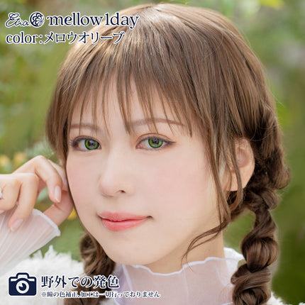 Etia Mellow Olive 1Day 14.5mm 日本Cosplay隱形眼鏡 (10片裝)