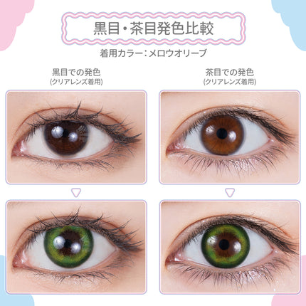 Etia Mellow Olive 1Day 14.5mm 日本Cosplay隱形眼鏡 (10片裝)
