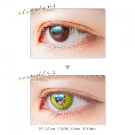 Etia Reorv 1Day Peridot 日拋隱形眼鏡 (10片裝)