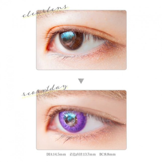 Etia Reorv 1Day Charoite Daily Disposable Contact Lenses (10 lenses)