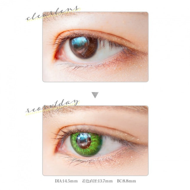 Etia Reorv 1Day Nephrite Daily Disposable Contact Lenses (10 lenses)